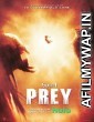 Prey (2022) Unofficial Hindi Dubbed Movie